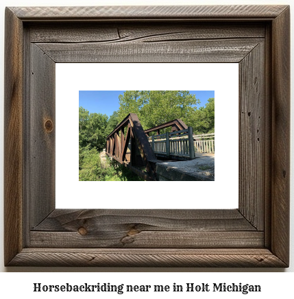 horseback riding near me in Holt, Michigan